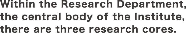 Within the Research Department, the central body of the Institute, there are three research cores.